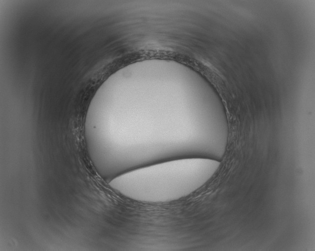X0000074240870200608250839
