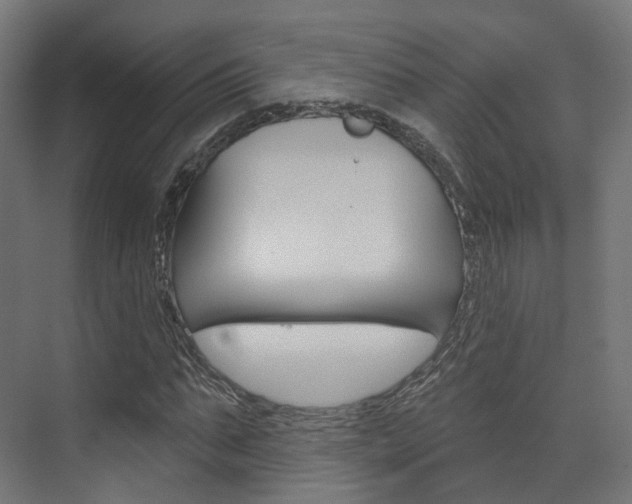 X0000074240871200608250839