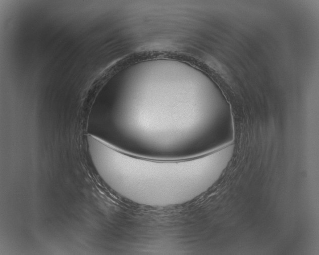 X0000074240872200608250839
