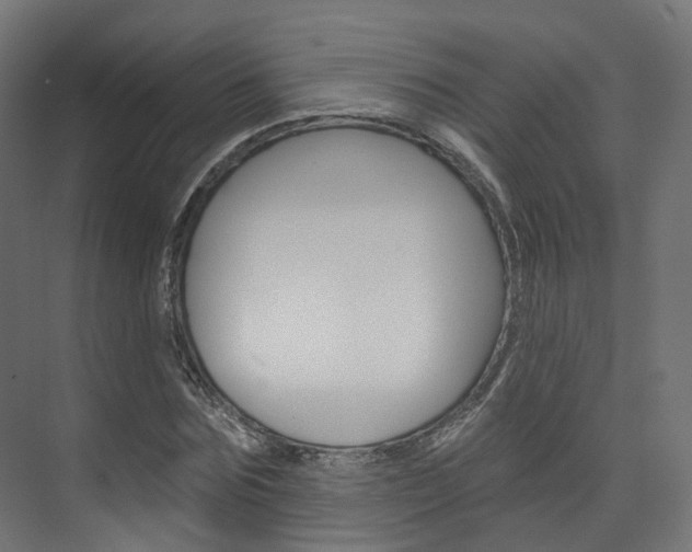 X0000074240875200608250839