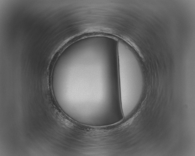X0000074240877200608250839