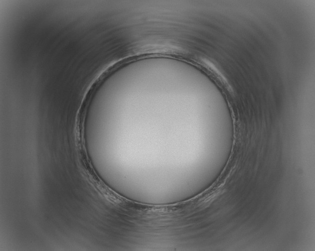 X0000074240883200608250839