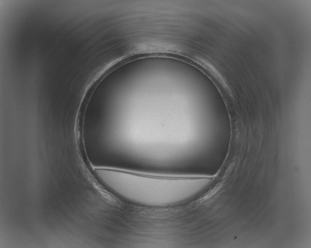 X0000074240885200608250839