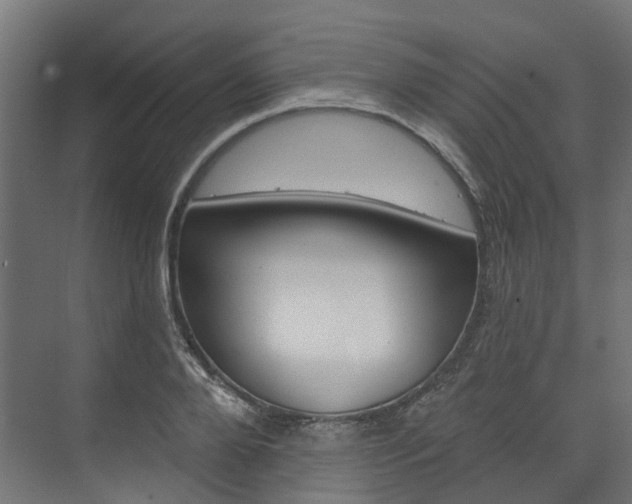 X0000074240888200608250839