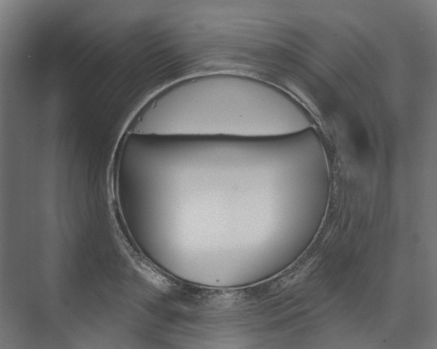 X0000074240891200608250839