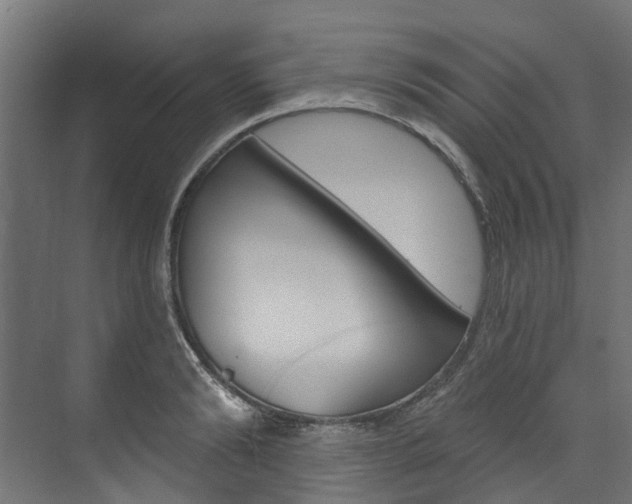 X0000074240894200608250839