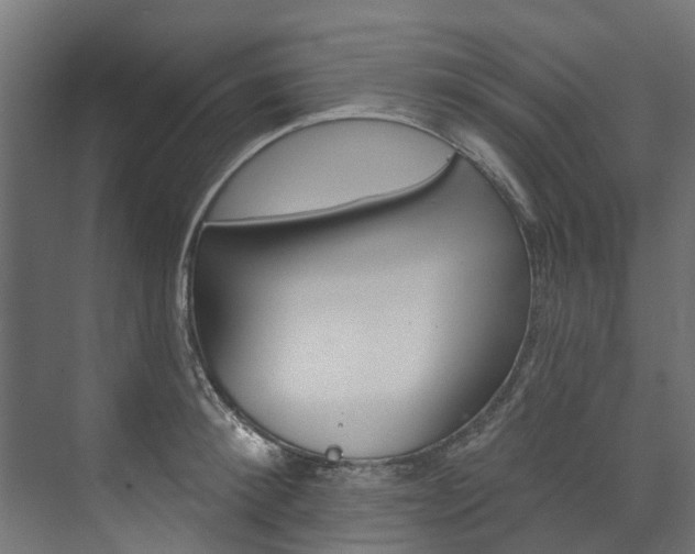 X0000074240900200608250839