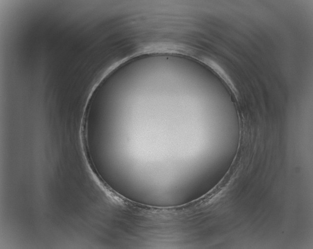 X0000074240901200608250839