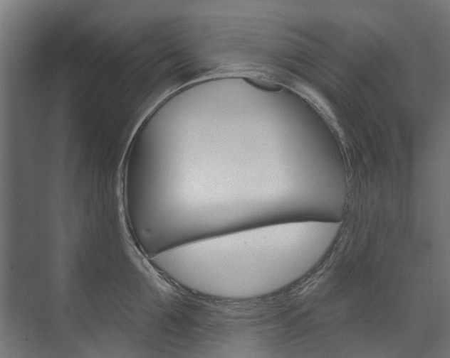 X0000074240907200608250839