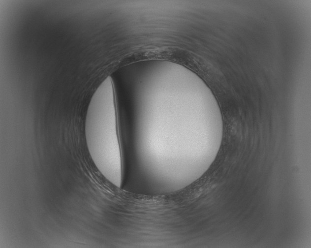 X0000074240914200608250838