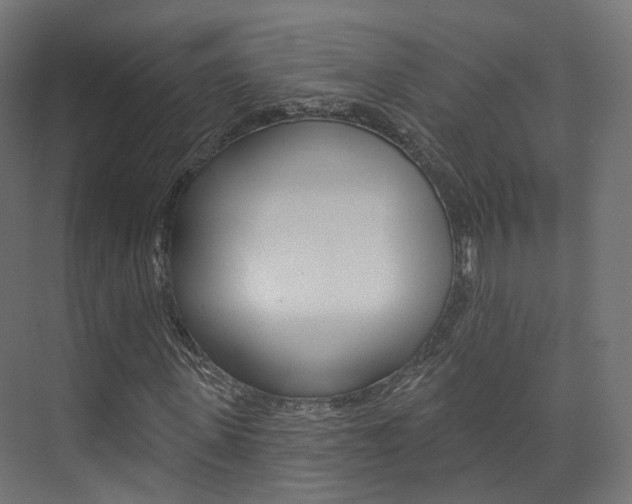 X0000074240915200608250838