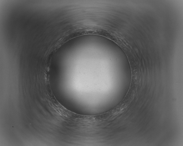 X0000074240916200608250838