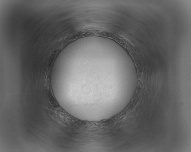 X0000074240917200608250838
