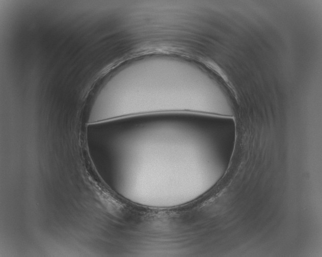 X0000074240922200608250838