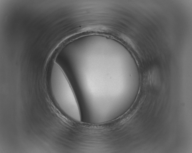 X0000074240923200608250838
