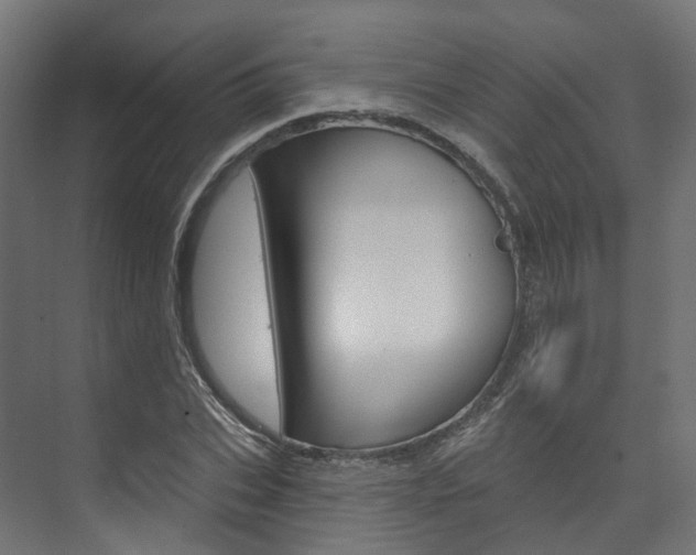 X0000074240927200608250838