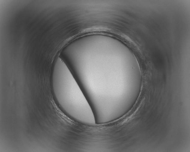 X0000074240929200608250838