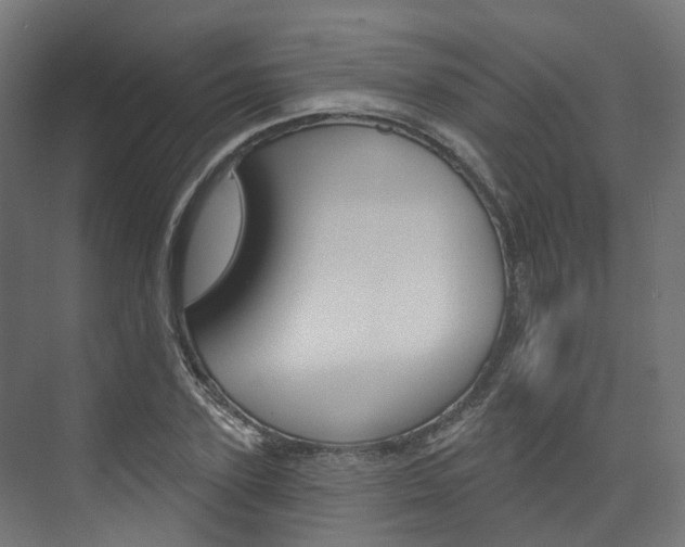 X0000074240931200608250838