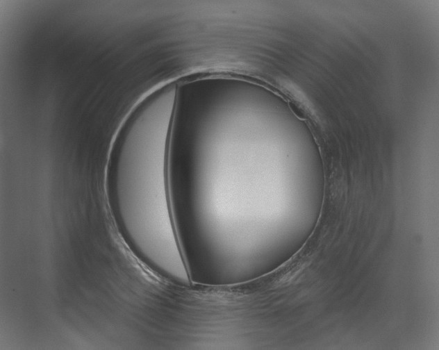 X0000074240932200608250838