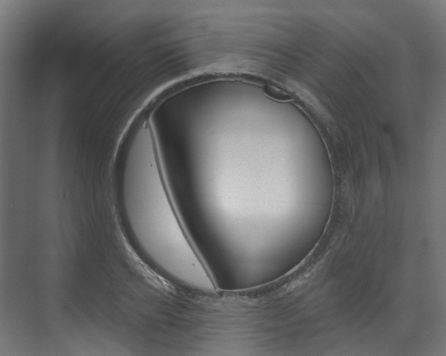 X0000074240934200608250838