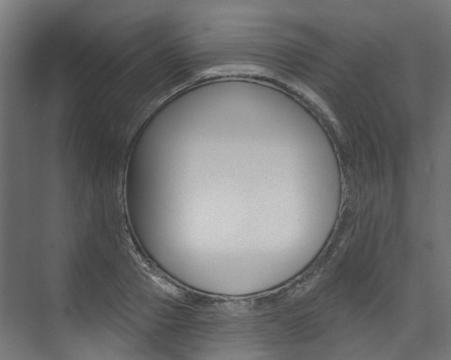 X0000074240937200608250838