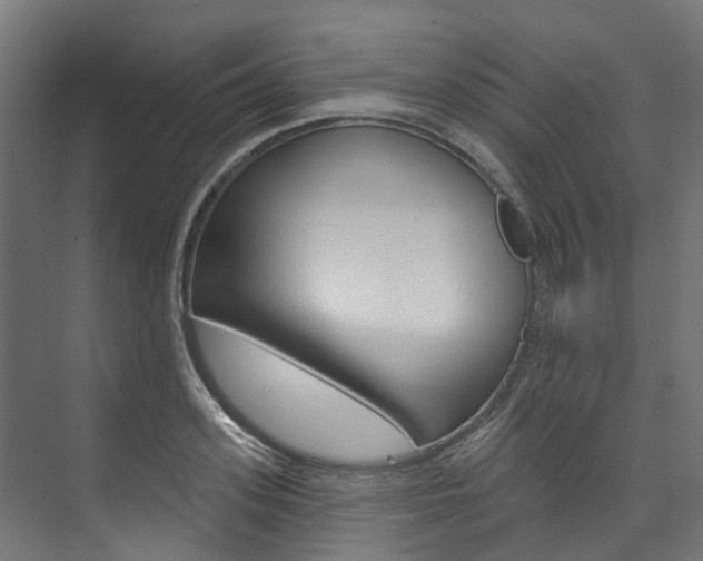 X0000074240939200608250838