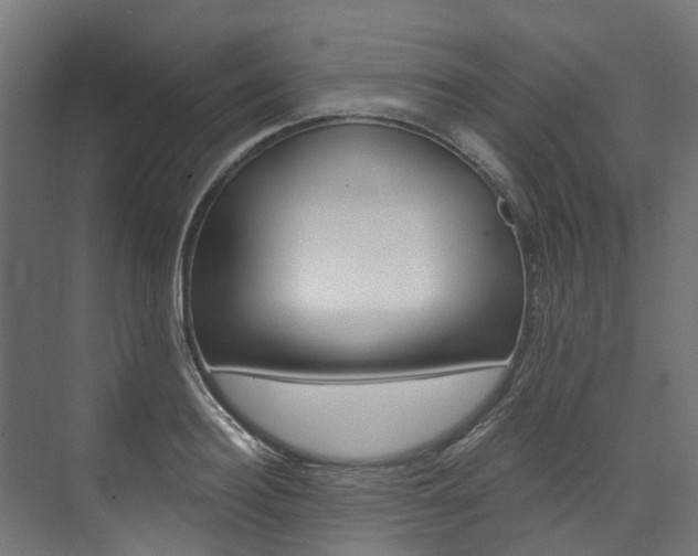 X0000074240940200608250838
