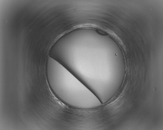 X0000074240945200608250838