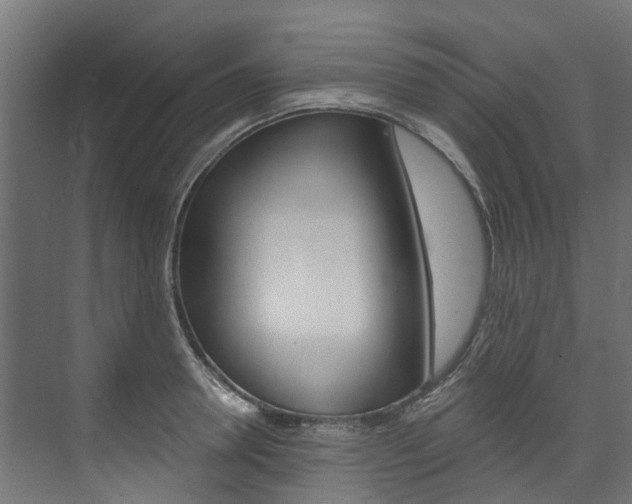X0000074240946200608250838