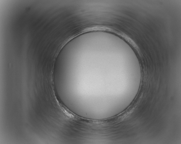 X0000074240953200608250839