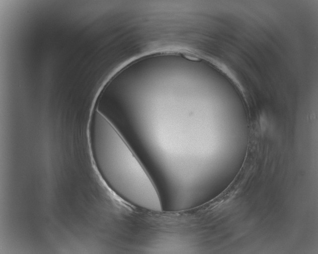 X0000074240959200608250839