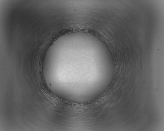 X0000074240961200608250838