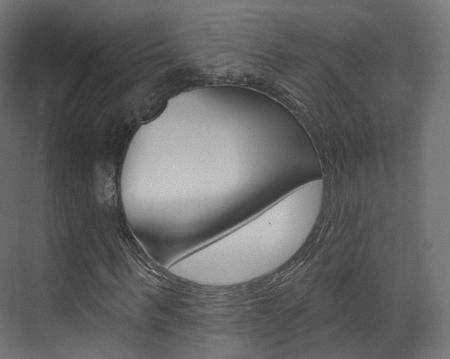 X0000074240963200608250838