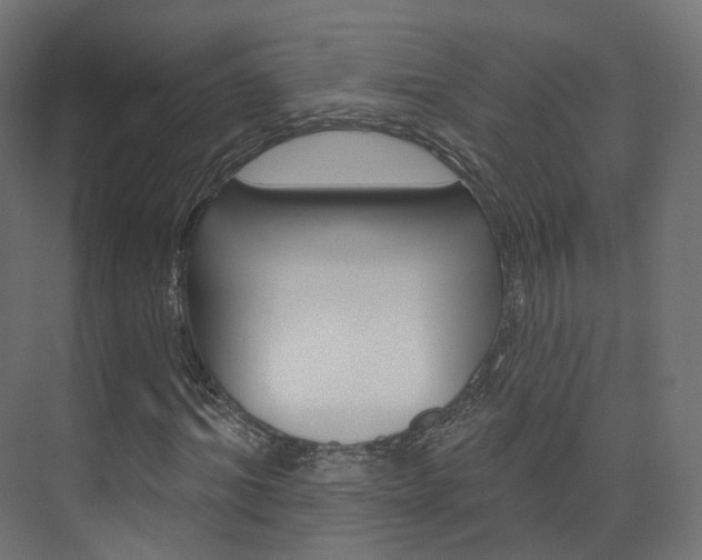 X0000074240964200608250838