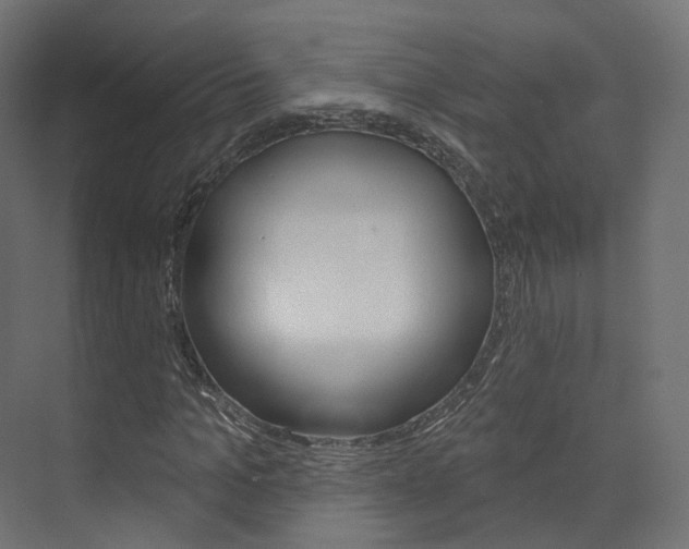 X0000074240965200608250838