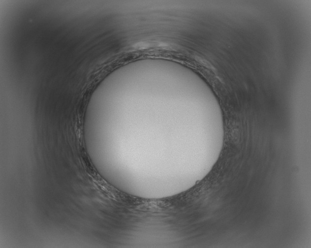 X0000074240966200608250838
