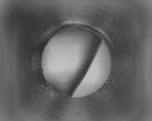 X0000074240967200608250838