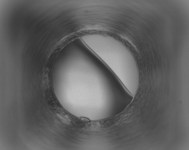 X0000074240968200608250838