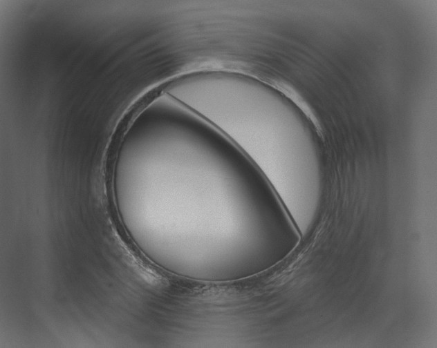 X0000074240972200608250838
