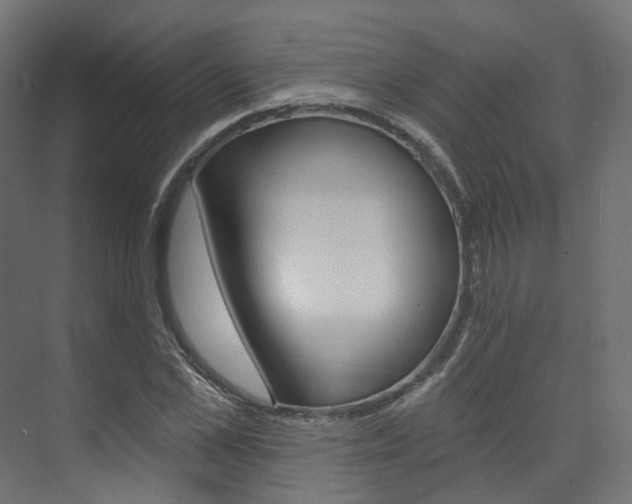 X0000074240973200608250838