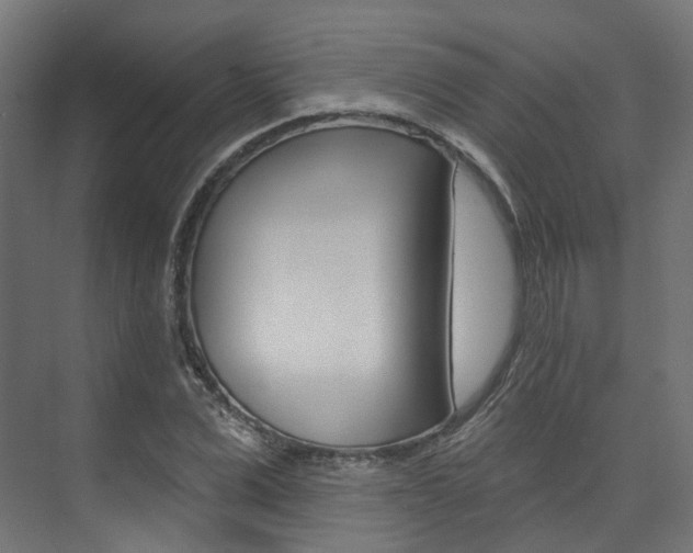 X0000074240975200608250838