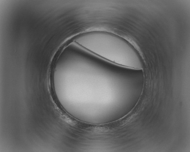 X0000074240984200608250837