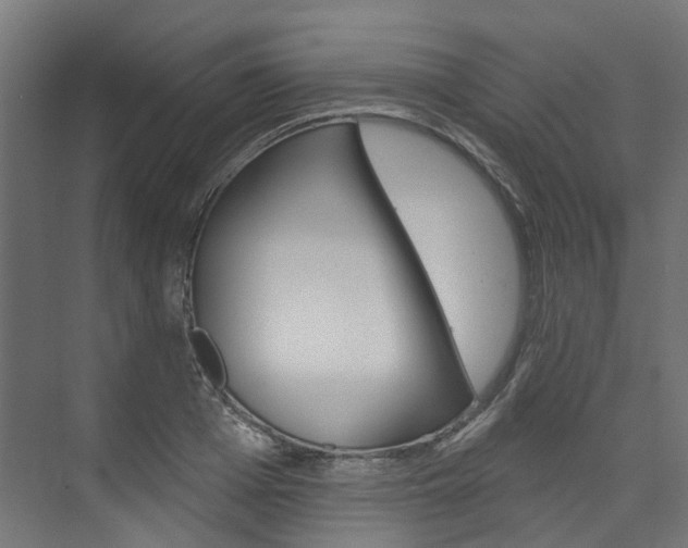X0000074240985200608250837
