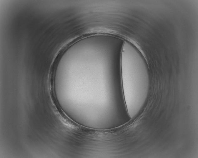 X0000074240987200608250837