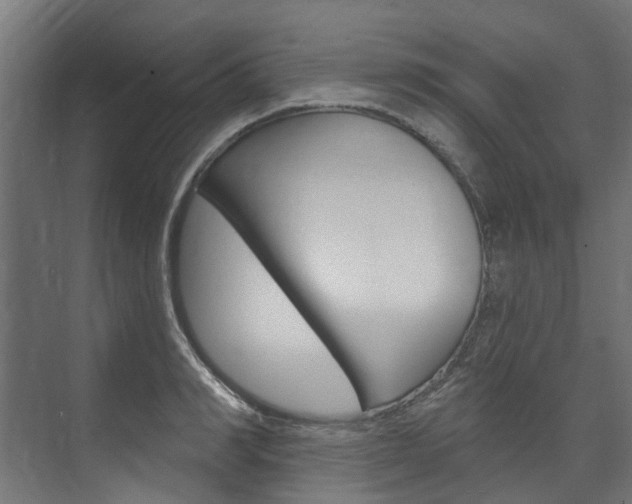 X0000074240990200608250837