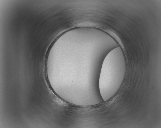X0000074241000200608250837