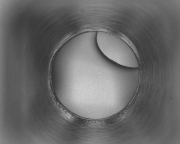 X0000074241002200608250837