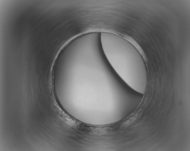 X0000074241004200608250837