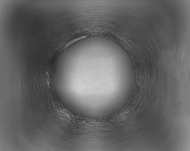 X0000074241010200608250836