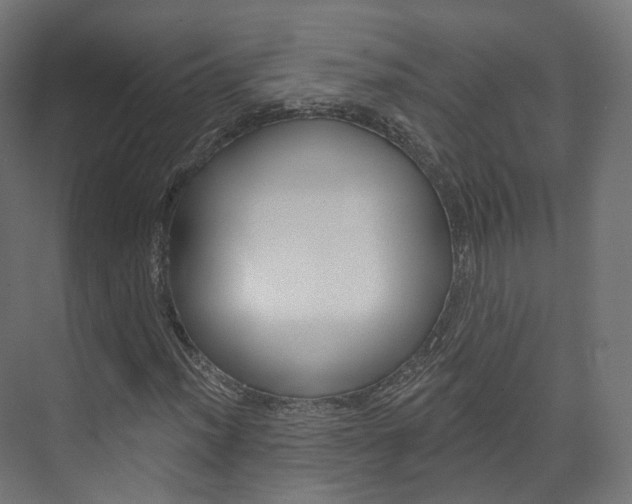 X0000074241012200608250836